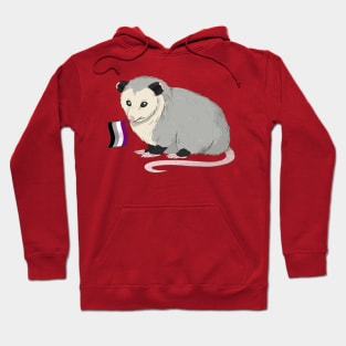 Asexual Pride Opossum Hoodie